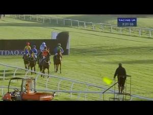 Video preview image for Huntingdon 14:20 - Macer Gifford Handicap Chase