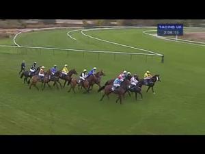 Video preview image for Warwick 14:05 - Anixter Partners Day Juvenile Maiden Hurdle