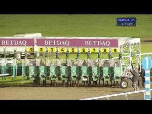 Video preview image for Kempton Park 17:10 - Betdaq - We're Serious About Sport Handicap (London Middle Distance Series Final)
