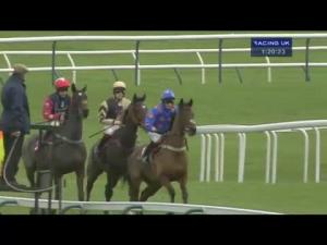 Video preview image for Haydock Park 13:20 - Money Advice Group Graduation Chase