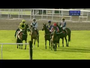 Video preview image for Kempton Park 14:10 - Olbg Mares' Hurdle (Listed)