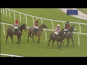 Video preview image for Bangor-On-Dee 12:35 - Ginger McCain Memorial Novices' Chase