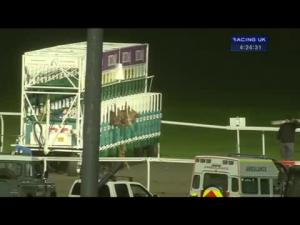 Video preview image for Kempton Park 16:20 - British Stallion Studs EBF Maiden Fillies' Stakes (Plus 10) (Div 2)