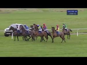 Video preview image for Wincanton 14:00 - Weatherbys Hamilton Silver Buck Handicap Chase