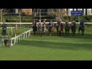 Video preview image for Sandown Park 13:30 - Zurich Insurance Plc Handicap Chase