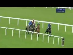Video preview image for Ascot 13:55 - Sky Bet Supreme Trial Novices' Hurdle (Registered As The Kennel Gate Novices' Hurdle) (Grade 2)