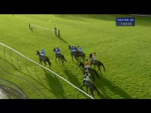 Video preview image for Warwick 13:40 - Local Parking Ltd Novices' Limited Handicap Chase