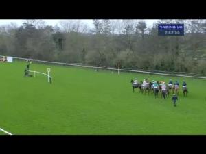 Video preview image for Warwick 14:40 - Breeders Backing Racing/Local Parking Security Ltd Mares' 'National Hunt' Novices' Hurdle