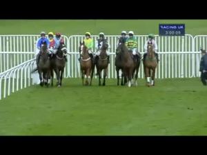 Video preview image for Musselburgh 15:00 - Kilmany Cup (Handicap Chase)