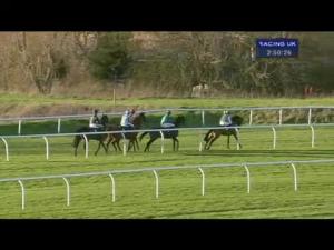 Video preview image for Huntingdon 14:50 - 32Red Chatteris Fen Juvenile Hurdle