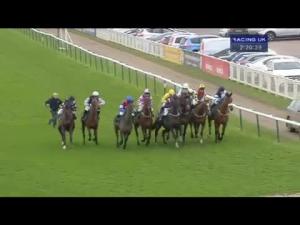 Video preview image for Warwick 14:20 - D W Clark Drainage Handicap Chase