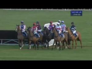 Video preview image for Ludlow 14:45 - Openbet Novices' Limited Handicap Chase