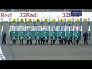 Video preview image for Kempton Park 16:55 - Racing UK Free Trial Handicap