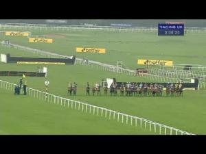 Video preview image for Newbury 15:35 - Betfair Hurdle (Grade 3 Handicap)