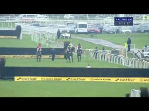 Video preview image for Newbury 16:10 - Better Odds With Betfair Novices' Chase