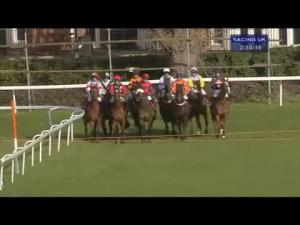 Video preview image for Sandown Park 14:10 - 'Ubique' Handicap Chase