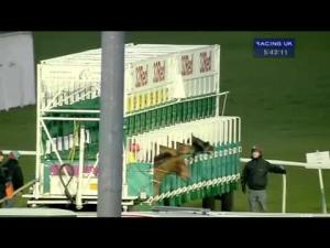 Video preview image for Kempton Park 17:40 - Dgs Mortgage Solutions All Weather 'Hands and Heels' Apprentice Series Handicap