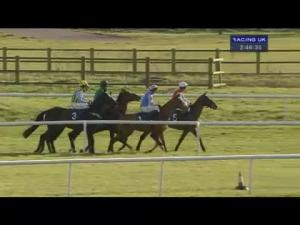 Video preview image for Huntingdon 14:45 - Racing UK Lady Protectress Mares' Chase (Listed)