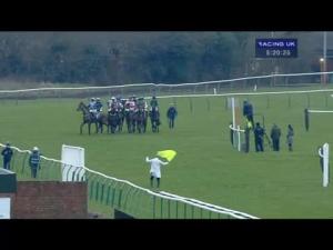 Video preview image for Warwick 17:20 - British Stallion Studs EBF Mares' Standard Open NH Flat Race