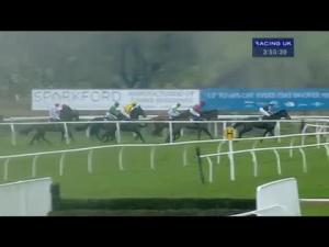 Video preview image for Wincanton 15:55 - Cash Out With Betfair Handicap Hurdle