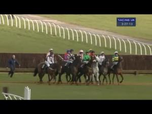 Video preview image for Newbury 15:25 - Berry Bros & Rudd Handicap Chase (For The Geoffrey Gilbey Trophy)