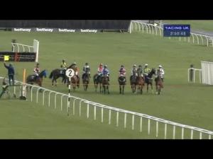 Video preview image for Newbury 14:50 - Ladbrokes Supporting Greatwood Handicap Hurdle