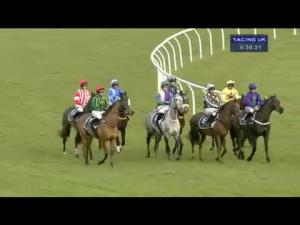 Video preview image for Newbury 16:35 - BetVictor Supporting Greatwood Novices' Limited Handicap Chase (For The Jacky Upton Trophy)