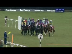 Video preview image for Newbury 17:10 - Dbs Spring Sales Bumper (Standard Open NH Flat Race)
