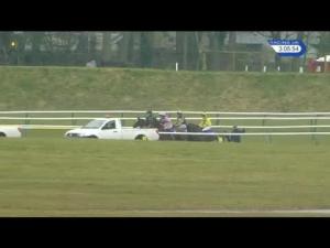 Video preview image for Ayr 15:05 - Racing UK Live In HD Now! Novices' Limited Handicap Chase