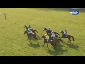 Video preview image for Warwick 14:30 - EBF/tba Mares' Novices' Limited Handicap Chase