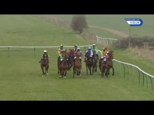 Video preview image for Warwick 16:50 - Executive Hire News Passionate Industry Voice Handicap Chase