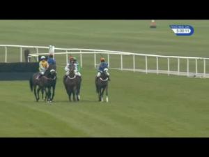 Video preview image for Haydock Park 17:00 - Apollobet Daily Racing Refunds 'Fixed Brush' Novices' Handicap Hurdle