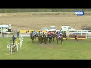 Video preview image for Ludlow 14:30 - G C Rickards Novices' Hurdle