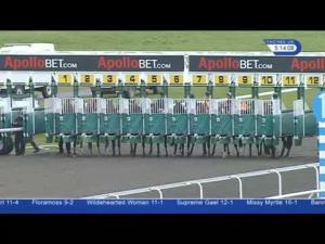 Video preview image for Carlisle 17:15 - Totepool Happy Easter Mares' Standard Open NH Flat Race