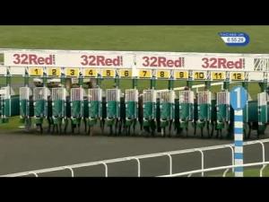 Video preview image for Kempton Park 18:55 - 32Red On The App Store Maiden Stakes