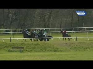 Video preview image for Newbury 15:35 - Oakley Coachbuilders Novices' Limited Handicap Chase (For The Brown Chamberlin Trophy)
