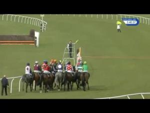 Video preview image for Newbury 15:40 - EBF & Tba Mares' 'National Hunt' Novices' Hurdle Finale (Listed Handicap)