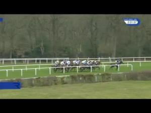 Video preview image for Ascot 14:00 - David Brownlow Charitable Foundation Maiden Hurdle