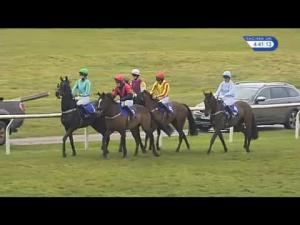 Video preview image for Wincanton 16:40 - Apollobet Fair Play Money Back Open Hunters' Chase (For The John Dufosee Memorial Trophy)