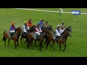 Video preview image for Warwick 17:00 - Apollobet Free Download App Maiden Open NH Flat Race (Div 1)