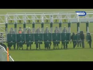 Video preview image for Redcar 14:30 - Watch Racing UK Anywhere Selling Stakes