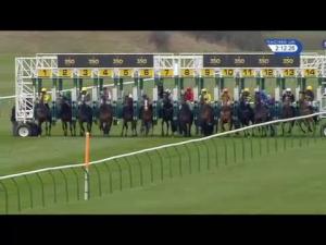 Video preview image for Newmarket 14:10 - EBF Stallions Newmarket Community Raceday Maiden Fillies' Stakes (Plus 10)