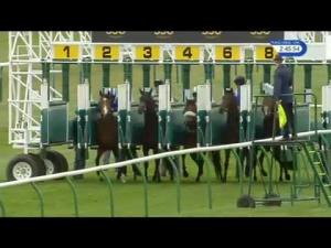 Video preview image for Newmarket 14:45 - EBF Stallions Ngk Spark Plugs Conditions Stakes (Plus 10)