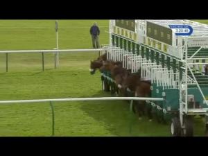 Video preview image for Newmarket 15:20 - Ben Burgess & Co Handicap