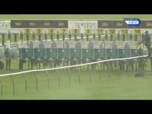 Video preview image for Newmarket 16:30 - Lanwades Stud Nell Gwyn Stakes (Fillies' Group 3)
