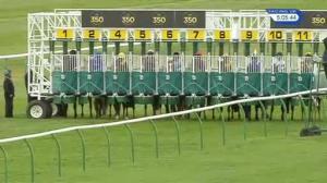 Video preview image for Newmarket 17:05 - Alex Scott Maiden Stakes (Plus 10)