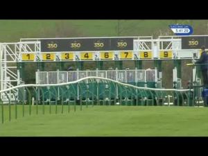 Video preview image for Newmarket 17:40 - Winning Post Pavilion Experience Handicap