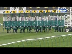 Video preview image for Newmarket 16:30 - Weatherbys General Stud Book Earl Of Sefton Stakes (Group 3)