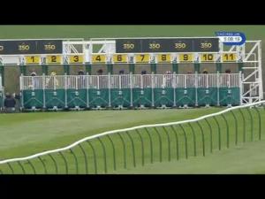 Video preview image for Newmarket 17:05 - Julian Wilson Memorial EBF Stallions Maiden Stakes (Plus 10)