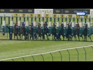 Video preview image for Newmarket 14:10 - newmarket350.co.uk Maiden Fillies' Stakes (Plus 10)